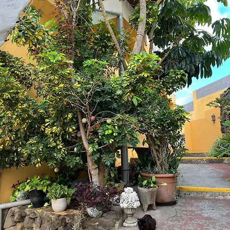 Guest house Double At Lila