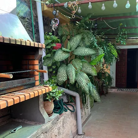 Double At Lila * 푸에르토 드 라 크루즈